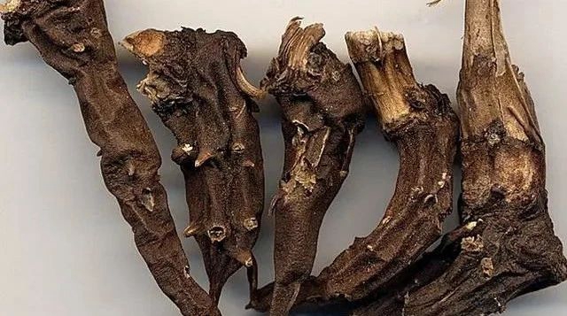 【围观】男子自制药酒,险些把自己送走(图5) 微信图片_20230905102734_3.jpg