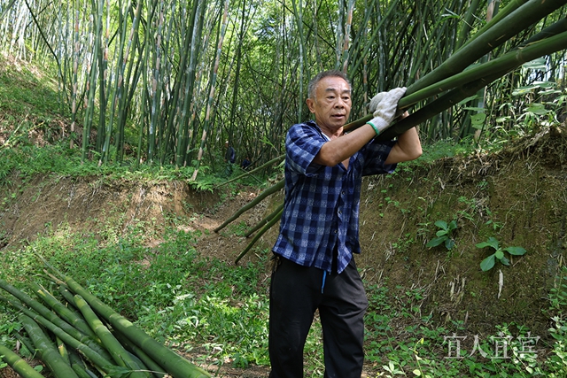 今天,盛大开幕!(图2) 2.jpg
