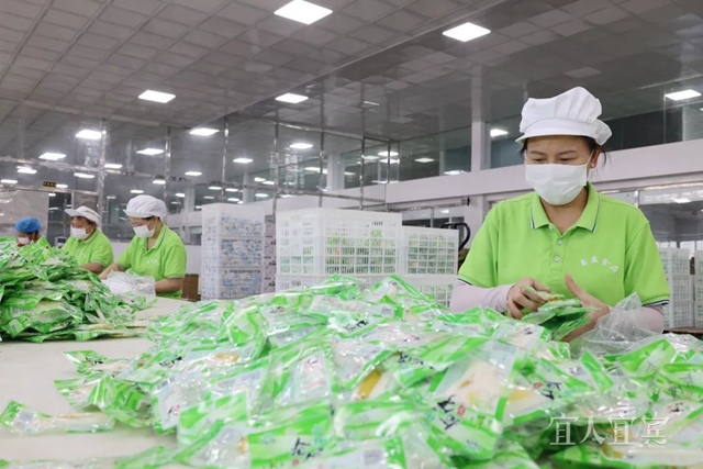 今天，盛大开幕！