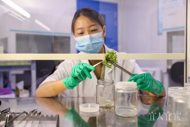 今天,盛大开幕!(图9) 9.jpg