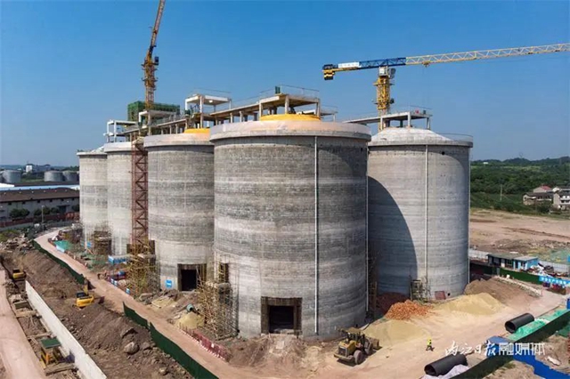 30万吨!内江这个粮食仓库建设正酣(图3) 粮3.jpg