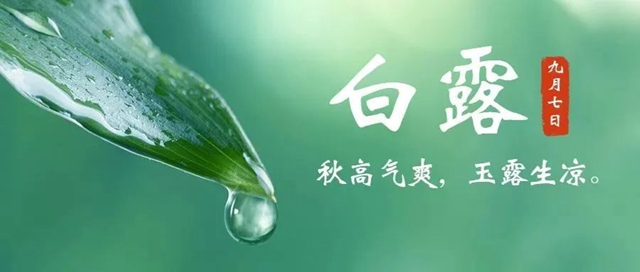 【白露】今天起，要开始降温了？