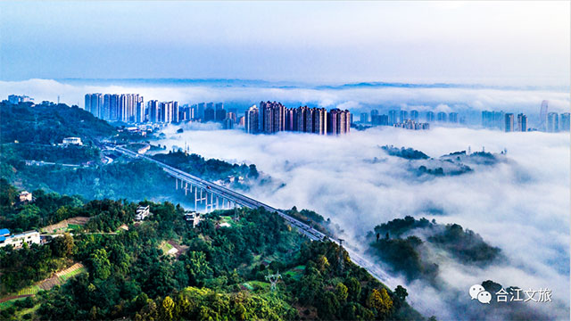 最合江|水润合江(图4) 4.jpg