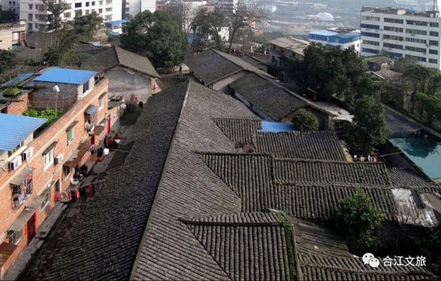 最合江|水润合江(图2) 2.jpg