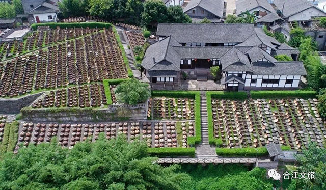 最合江|水润合江(图13) 13.jpg