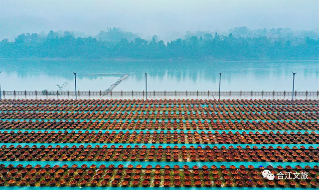 最合江|水润合江(图15) 15.jpg