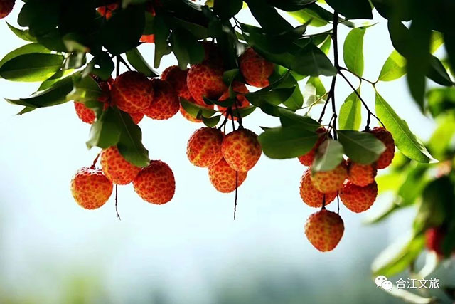 最合江|水润合江(图17) 17.jpg