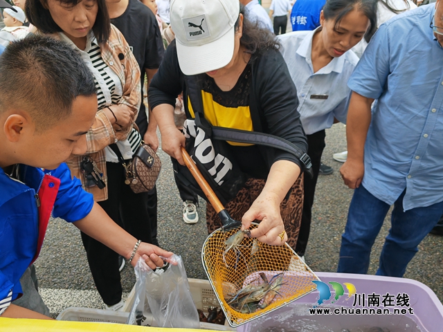 泸县第11届龙眼龙虾节隆重开幕(图2) 龙虾销售(曾佐然摄).jpg
