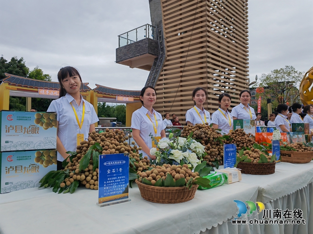 泸县第11届龙眼龙虾节隆重开幕(图3) 龙眼展示(曾佐然摄).jpg