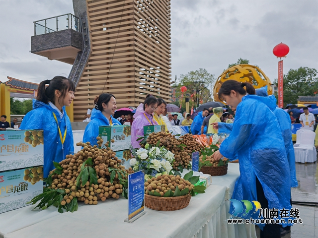 泸县第11届龙眼龙虾节隆重开幕(图4) 龙眼展示区(曾佐然摄).jpg