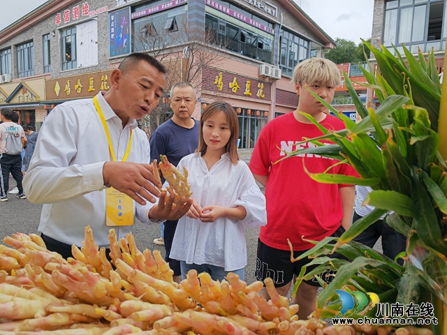 泸县第11届龙眼龙虾节隆重开幕(图7) 牛滩生姜展销1(曾佐然摄).jpg