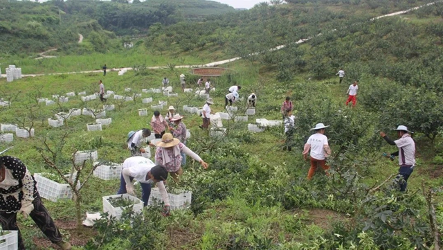 祝贺!隆昌两个产品被纳入全国名录!(图8) 微信图片_20230913110029.jpg
