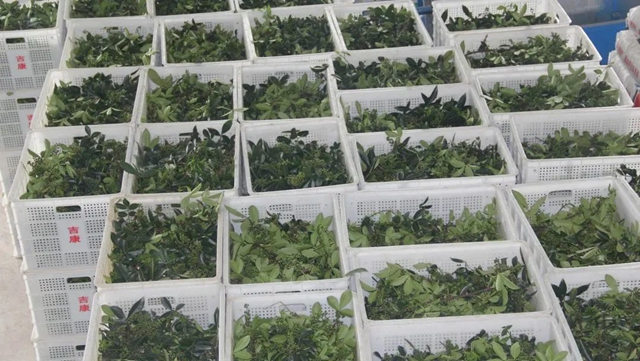 祝贺!隆昌两个产品被纳入全国名录!(图9) 微信图片_20230913110034.jpg