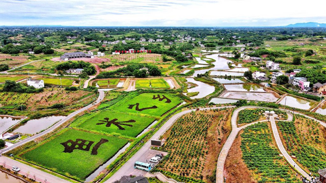 祝贺!隆昌两个产品被纳入全国名录!(图14) 微信图片_20230913110104.png