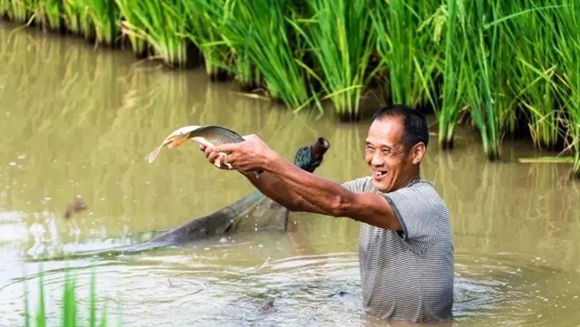 祝贺！隆昌两个产品被纳入全国名录！