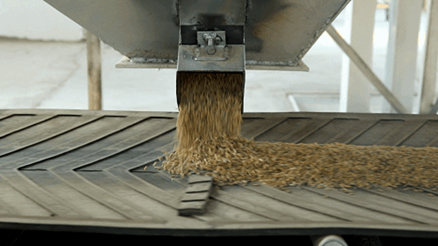 祝贺!隆昌两个产品被纳入全国名录!(图17) 微信图片_20230913110134_副本.gif