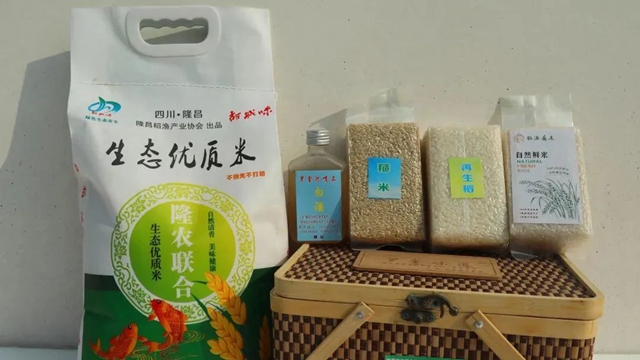 祝贺!隆昌两个产品被纳入全国名录!(图21) 微信图片_20230913110151.jpg