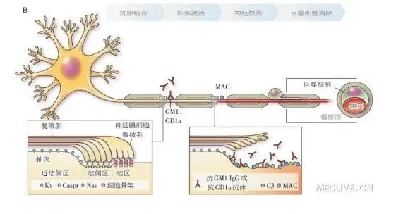 微信图片_20230915091214.jpg