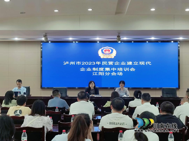 江阳区举办2023年度民营企业建立现代企业制度集中培训会(图1) 民1.png