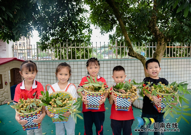 3.采摘成果.jpg