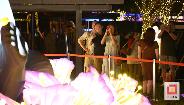 “川灯耀香江” 自贡彩灯“点亮”香港(图3) 3.jpg