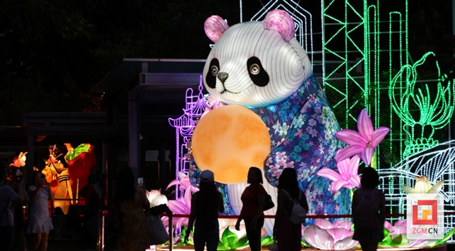 “川灯耀香江” 自贡彩灯“点亮”香港(图6) 6.jpg