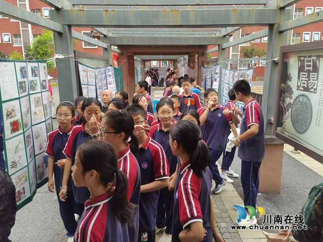 师生们踊跃观展 (1).jpg