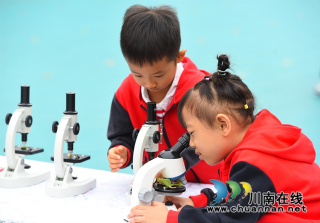 5科技强国，幼儿观察显微镜.JPG