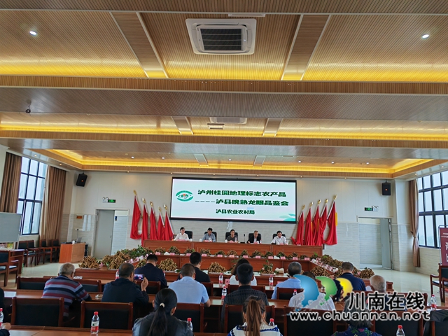 泸县:39个晚熟龙眼样品同台角逐,揽“金”挂“银”封“王”当“能手”(图1) 品鉴会场(曾佐然摄).jpg