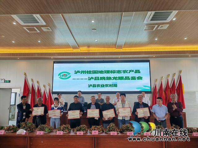 泸县:39个晚熟龙眼样品同台角逐,揽“金”挂“银”封“王”当“能手”(图4) 表彰龙眼种植能手(曾佐然摄).jpg