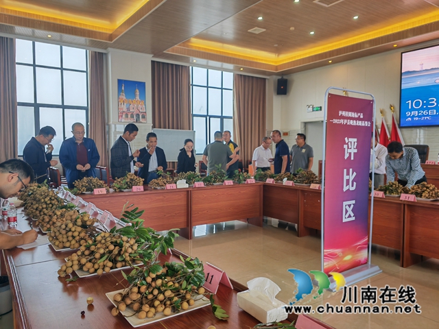 泸县:39个晚熟龙眼样品同台角逐,揽“金”挂“银”封“王”当“能手”(图8) 品鉴龙眼3(曾佐然摄).jpg