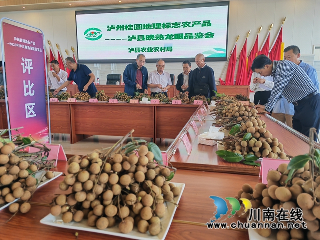 泸县:39个晚熟龙眼样品同台角逐,揽“金”挂“银”封“王”当“能手”(图5) 品鉴龙眼(曾佐然摄).jpg