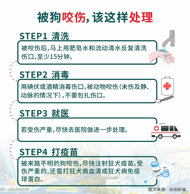 １１.png