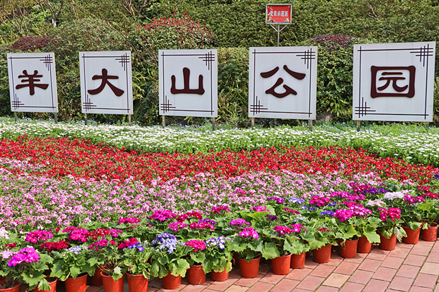 假期去哪玩?这些美景胜地坐公交就能到~(附详细乘车线路)(图8) 640 (2).png