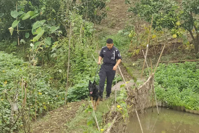 泸州的:高!铁!(图3) 3.jpg