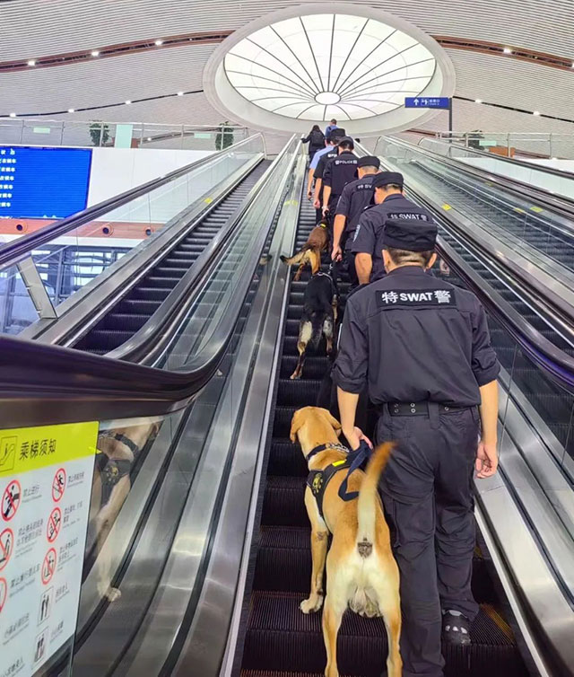 泸州的:高!铁!(图4) 4.jpg