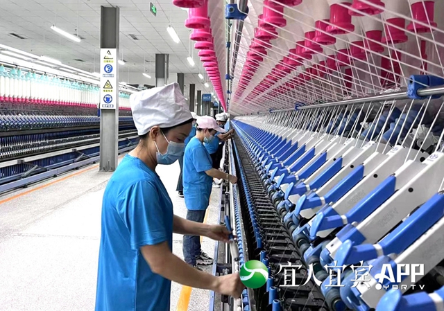 屏山这座纺织产业园隐藏着多家细分行业“全国冠军”