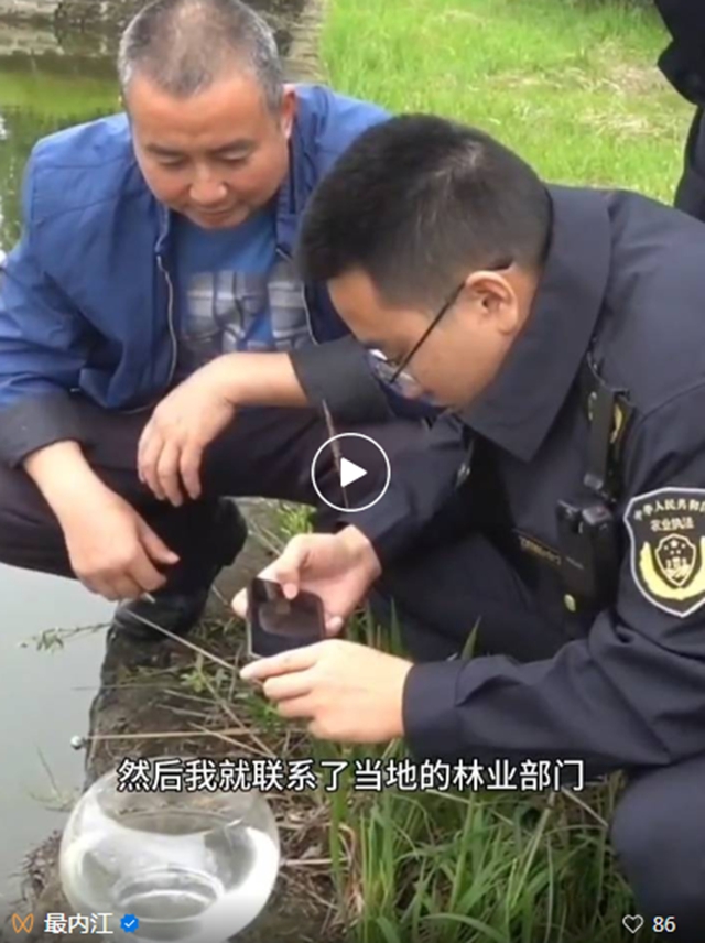 5.5亿年!内江这里惊现“活化石”(图1) 1111.jpg