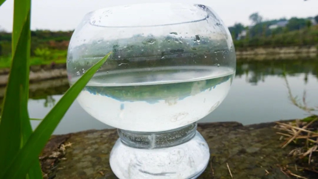 5.5亿年!内江这里惊现“活化石”(图5) 4.jpg