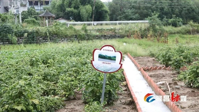 隆昌这些村变出“高颜值”!有你家吗?(图11) 11.jpg