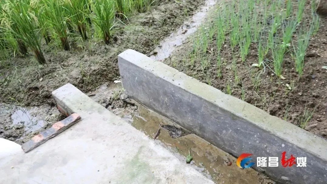 隆昌这些村变出“高颜值”!有你家吗?(图12) 12.jpg