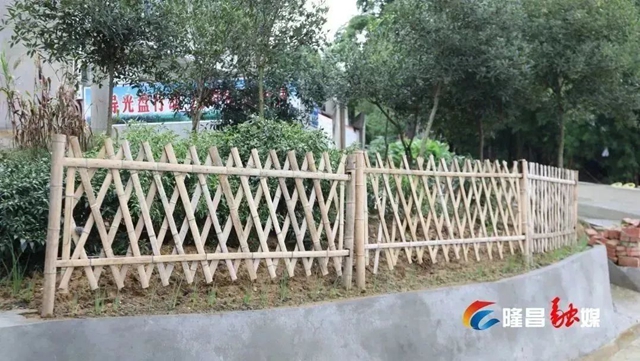 隆昌这些村变出“高颜值”!有你家吗?(图14) 14.jpg