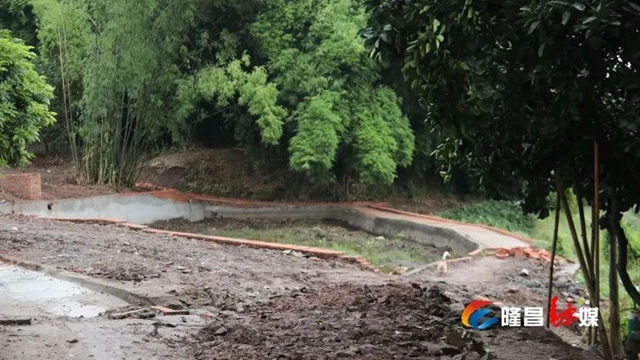 隆昌这些村变出“高颜值”!有你家吗?(图19) 19.jpg