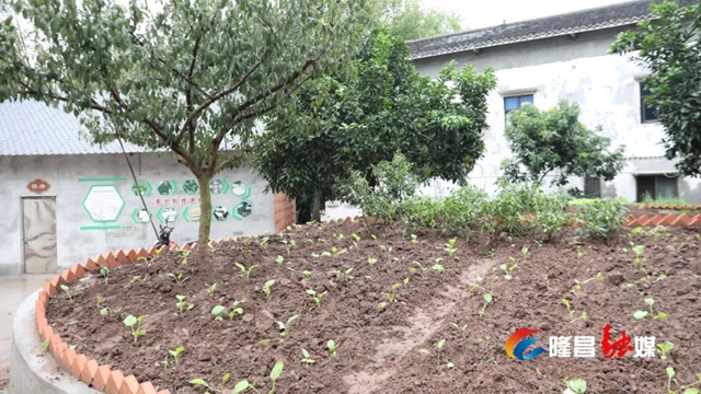 隆昌这些村变出“高颜值”!有你家吗?(图21) 21.jpg