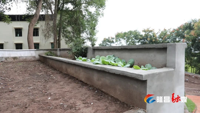 隆昌这些村变出“高颜值”!有你家吗?(图23) 24.jpg