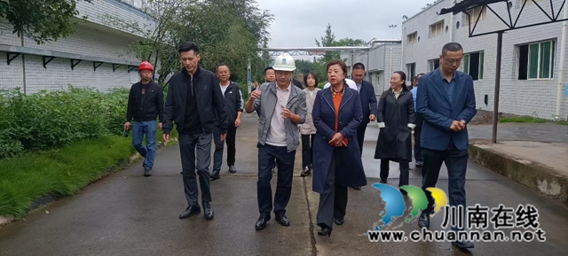 马宗慧率队到宜宾南溪区开展长江生态环境保护民主监督调研(图1) 1.jpg