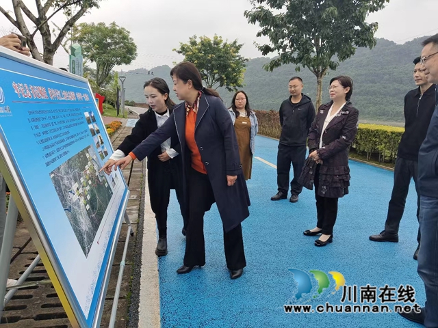 马宗慧率队到宜宾南溪区开展长江生态环境保护民主监督调研(图2) 2.jpg