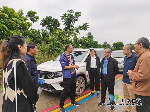 省、市专家赴泸县开展泸州龙眼高接换种技术标准调研(图1) 龙眼.png