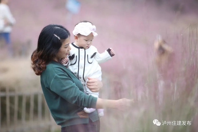 泸州:渔子溪大片粉黛拍了拍你,错过等一年!(图4) 4.jpg