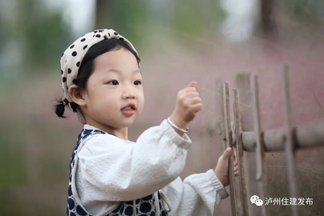 泸州:渔子溪大片粉黛拍了拍你,错过等一年!(图10) 10.jpg